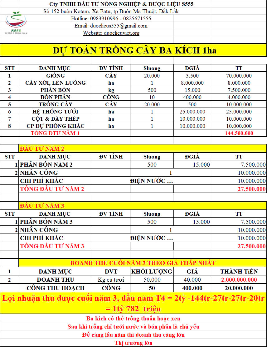 S555 Group cung cấp giống cây ba kích và thu mua ba kích theo hợp đồng