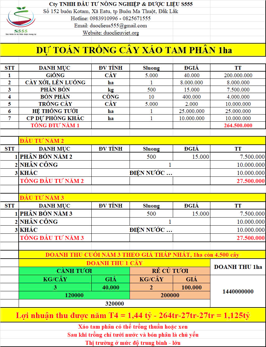S555 Group cung cấp giống xáo tam phân và thu mua xáo tam phân theo hợp đồng